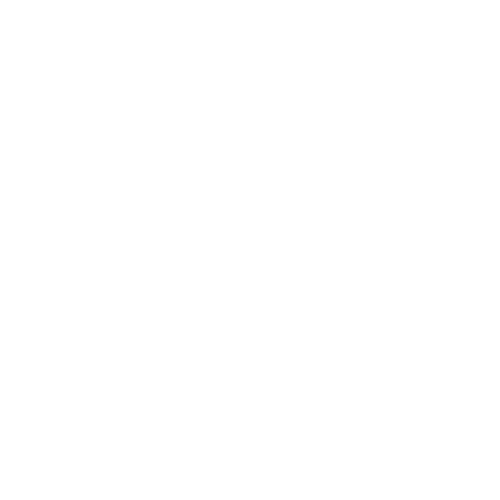 Mario's Auto Spa